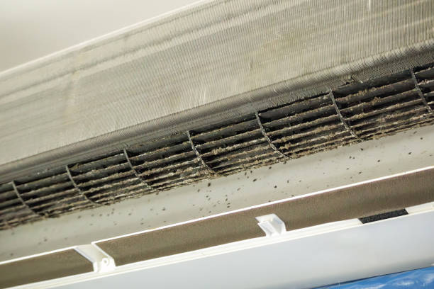 Best Local Air Duct Cleaning Services  in Port Reading, NJ